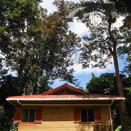 Jungle Beach 2 Bedroom Cottage Bocas Town Exterior photo