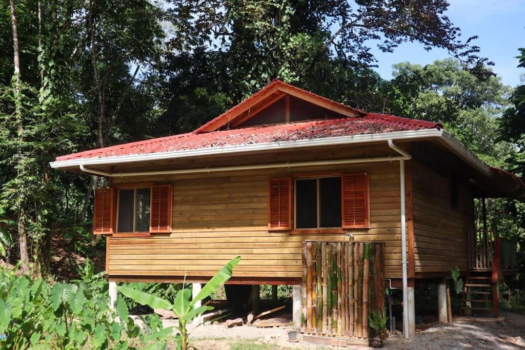 Jungle 2 Bedroom Chalet