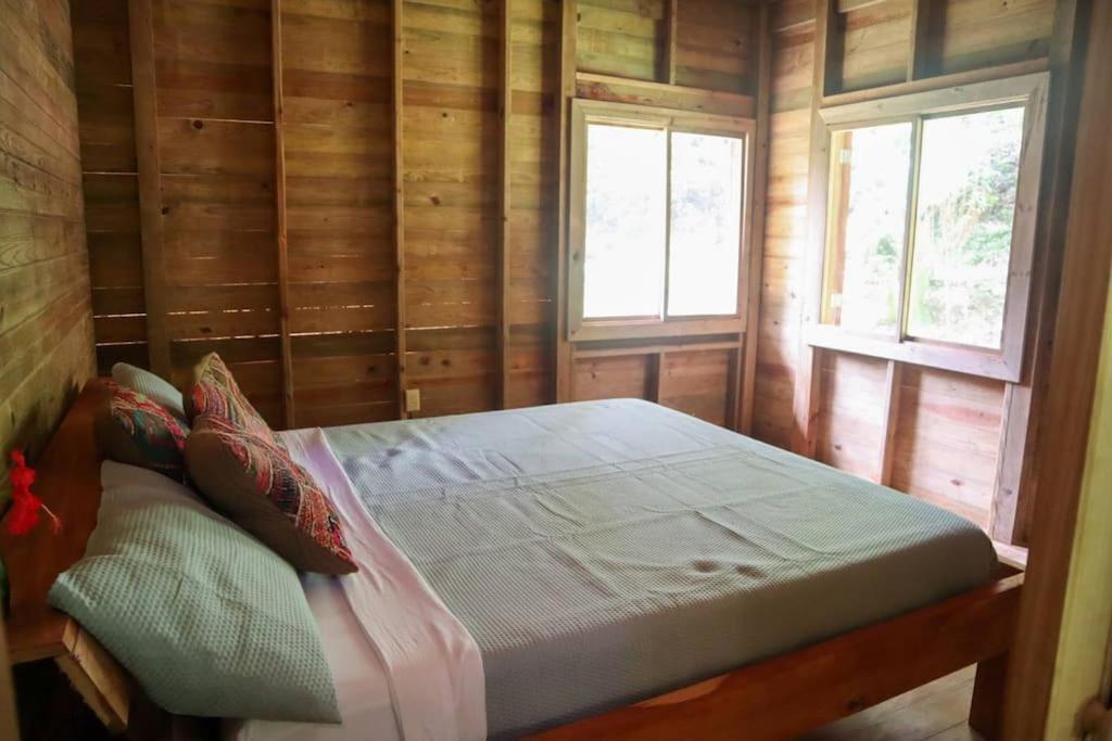 Chalet Jungle 2 Bedroom Bocas del Toro