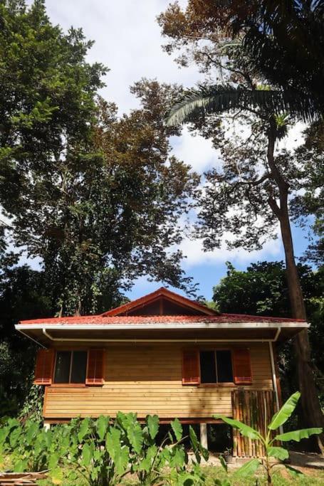 Jungle 2 Bedroom Chalet Bocas del Toro