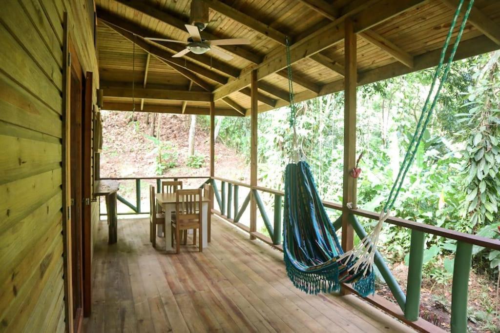 Jungle 2 Bedroom *