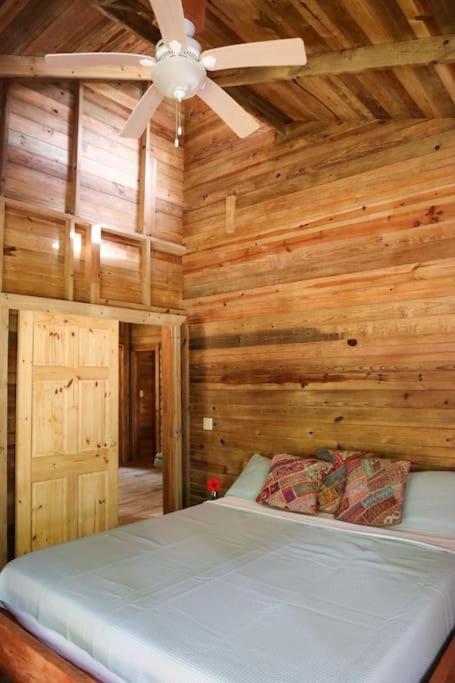 Chalet Jungle 2 Bedroom Bocas del Toro