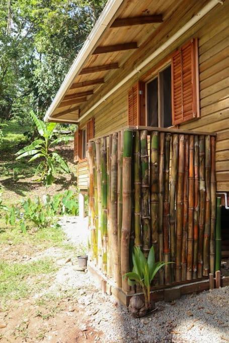 Jungle 2 Bedroom Chalet *