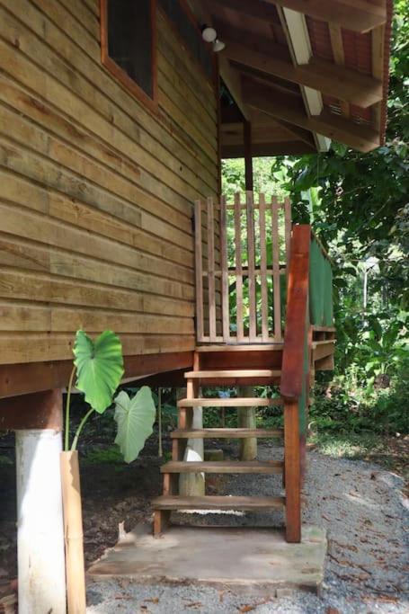 Jungle 2 Bedroom *